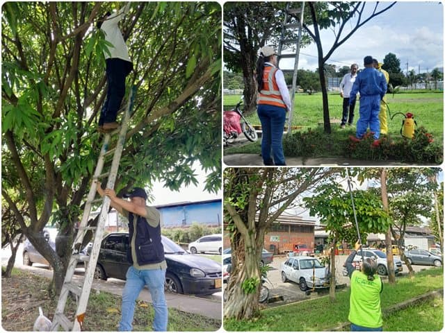 botellas-plasticas-y-papel-amarillo-las-armas-secretas-que-estan-salvando-las-frutas-colombianas